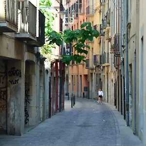 Housing Ginesta 9 Apartment Gerona